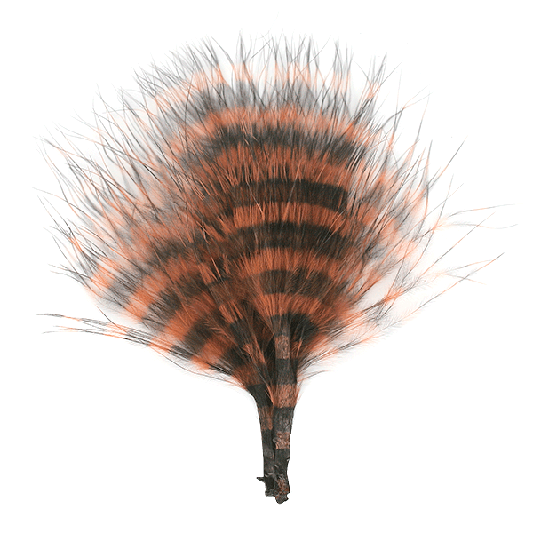 Barred Marabou Blood Quill