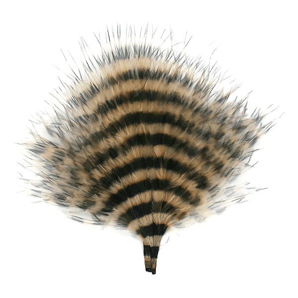Barred Marabou Blood Quill