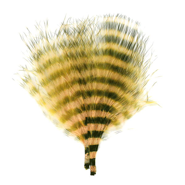 Barred Marabou Blood Quill