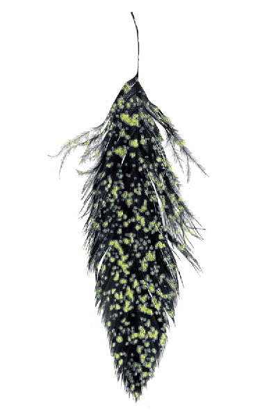 MFC MOTTLED SCHLAPPEN