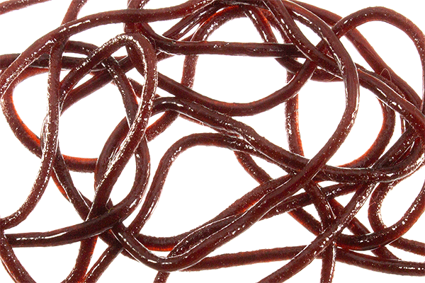 TRINA'S SQUIRM MATERIAL