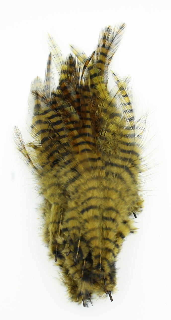 BARRED SADDLE HACKLE
