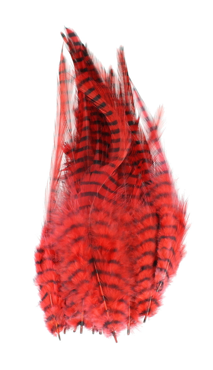 BARRED SADDLE HACKLE