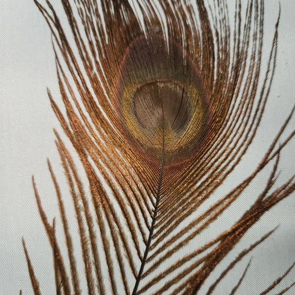 BLEACHED AND DYED PEACOCK STICKS