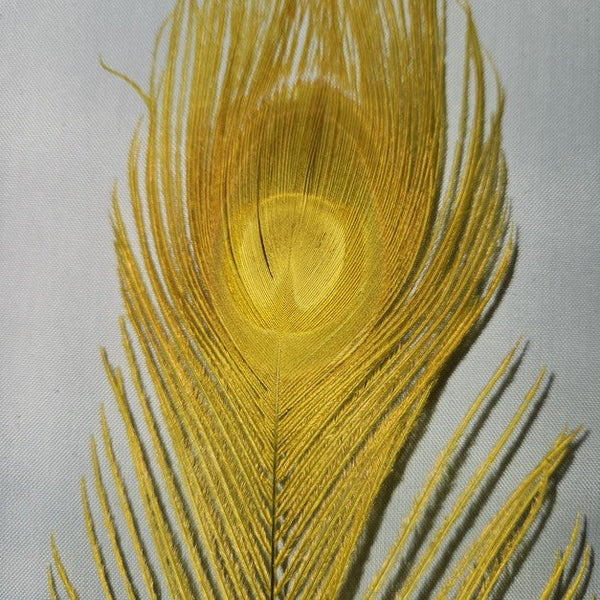 BLEACHED AND DYED PEACOCK STICKS