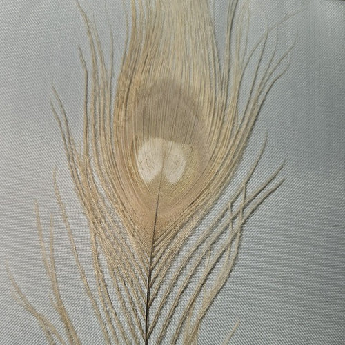 BLEACHED AND DYED PEACOCK STICKS