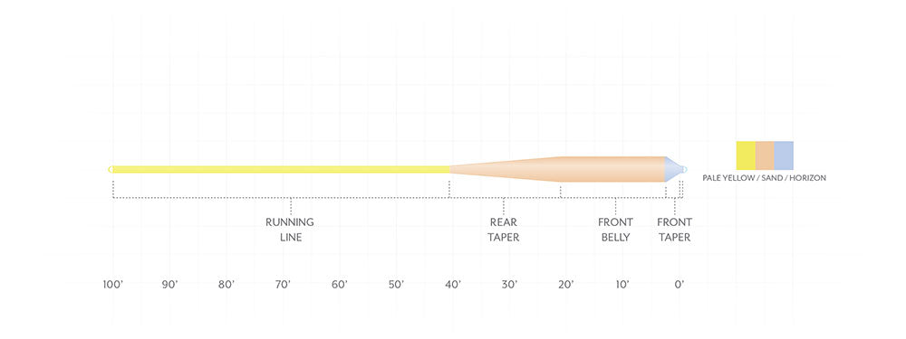 AMPLITUDE SMOOTH GRAND SLAM