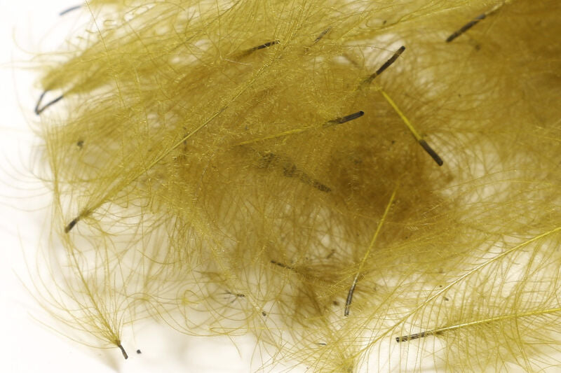 CUL DE CANARD FEATHER