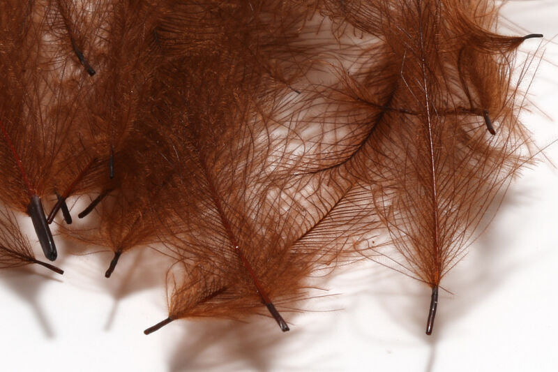 CUL DE CANARD FEATHER