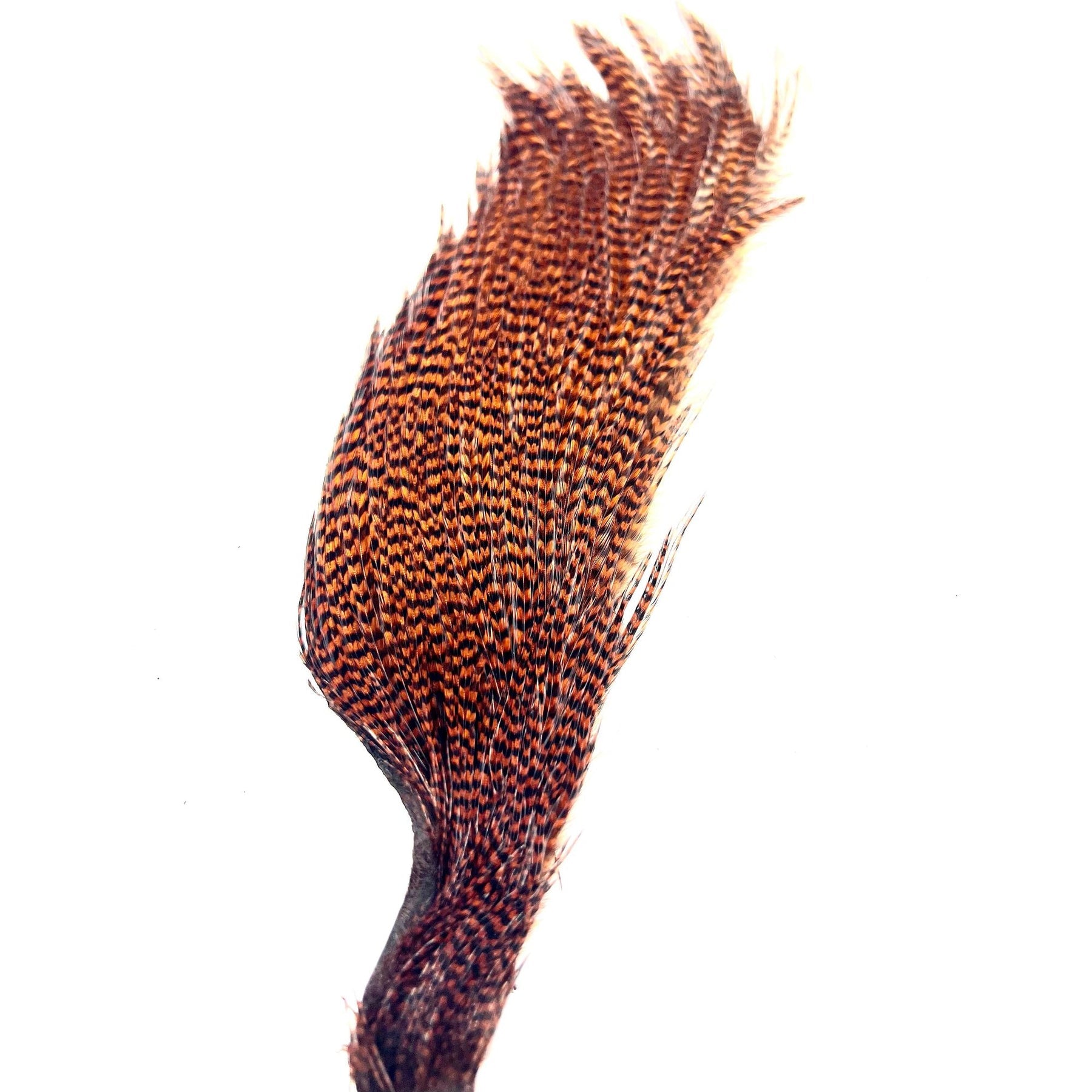 HALF EWING GRIZZLY CAPES