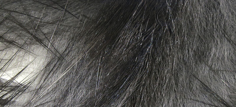 CROSSCUT RABBIT STRIPS HARELINE