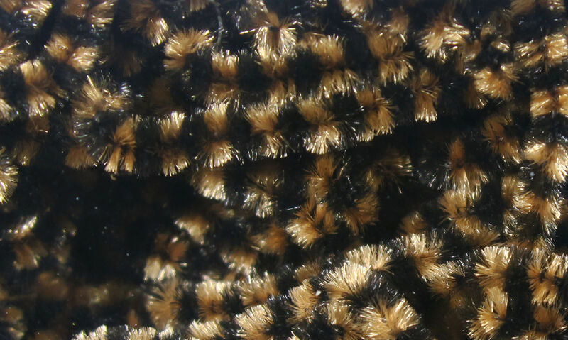 FLY FISH FOOD SMALL STONEFLY CHENILLE