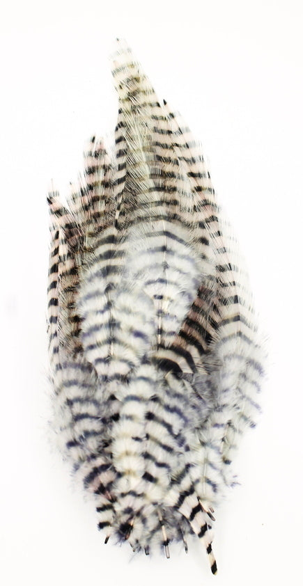 BARRED SADDLE HACKLE