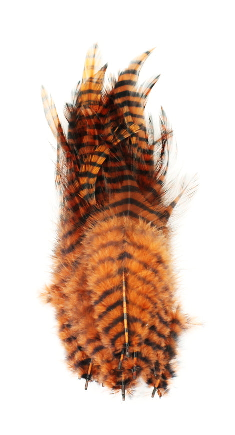 BARRED SADDLE HACKLE