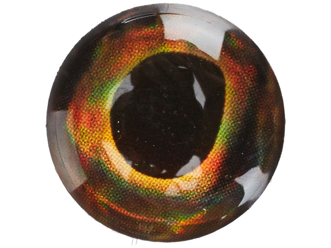 FISH SKULL LIVING EYES