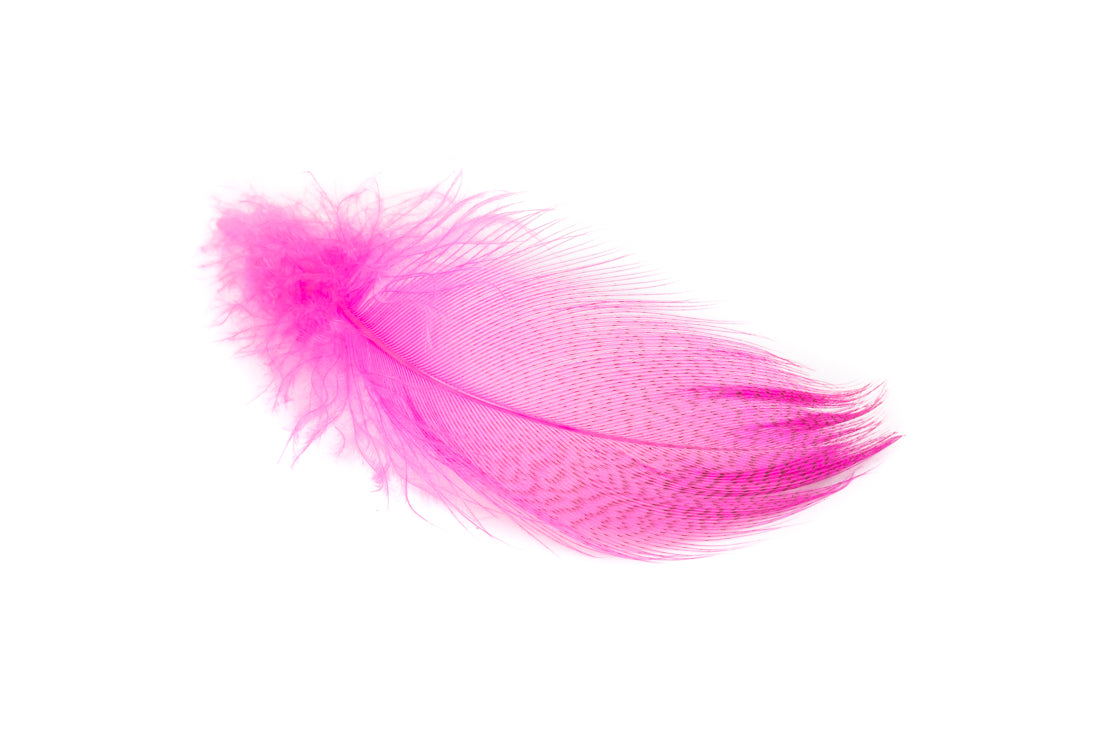 MALLARD BARRED FLANK