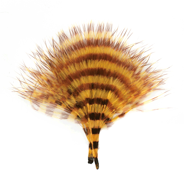 Barred Marabou Blood Quill